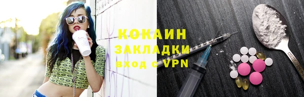 шишки Баксан