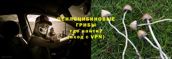 шишки Баксан