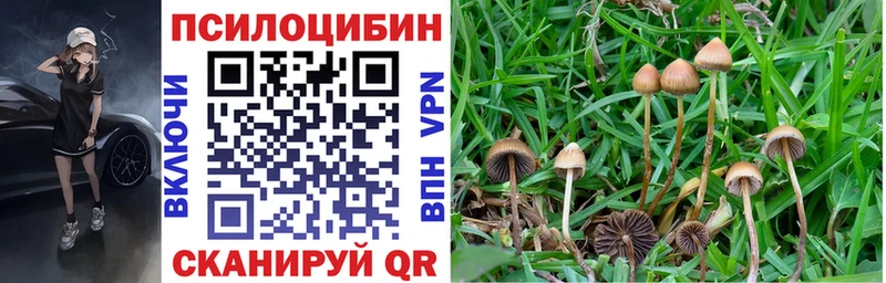 Галлюциногенные грибы GOLDEN TEACHER Горячеводский